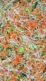 Mischsalate Rohkost Mischsalate Rohkost Balkan Mix Zucchini grün gewürfelt spezial 30 x 30 9478