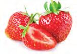 Erdbeeren 1010 2,0 kg ganz, geputzt 3345 5,0 kg 3368 2,0 kg