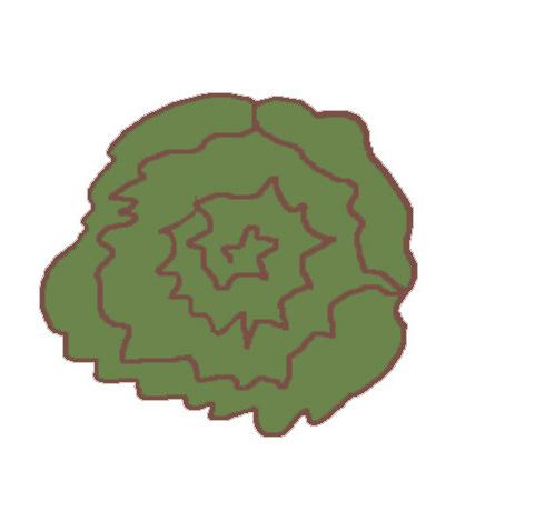 einen milden Rettih. einen grünen Kopfsalat. eine lange urke. Heimishe Frühte Kürbis einen großen Kürbis.) einen grünen Apfel.