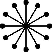 Stern-System Beschreibung Bei Netzen in