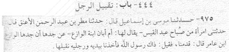 973: Abdurrahman Ibn Razin sagte: Wir gingen an az-zubda vorbei und uns wurde gesagt: Da ist Salama Ibn al-akwa. Ich ging zu ihm und er grüßte uns.