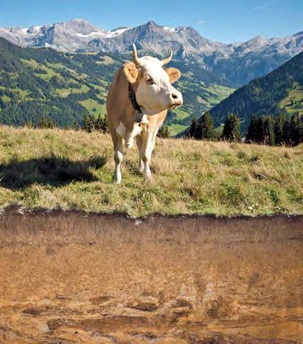 INForama Bio-Schule Schwand Praxisorientierte Ausbildung im Biolandbau Biologisch produzierte Nahrungsmittel sind in der Schweiz sehr ge fragt.