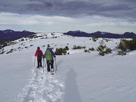 TOURENPROGRAMM Dienstag, 17. Februar 2015 Wandertour für Alpenwanderer Freitag, 20. Februar 2015 - Sonntag, 22. Februar 2015 Schneeschuhwochenende im Bayr.