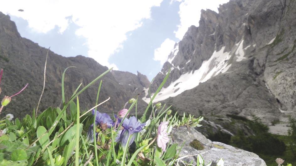 TOURENPROGRAMM Samstag, 18. Juli 2015 Großer Donnerkogel über Intersport-Klettersteig Mittelschwerer Klettersteig mit Blick auf Dachsteingletscher und Gosausee.