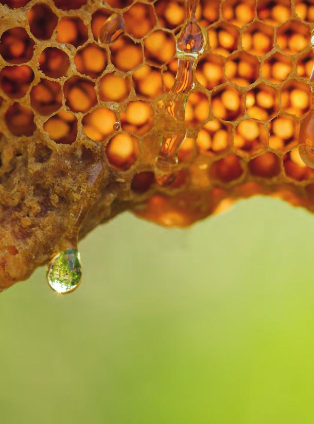Inhaltsstoffe des Honigs Im Honig sind rund 200 verschiedene Substanzen nachgewiesen worden.