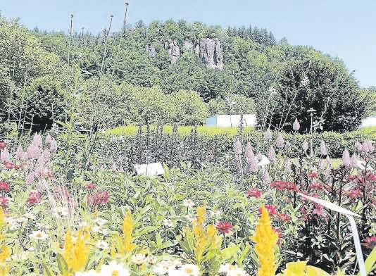 WEINGARTENER WOCHE 6. Juli 2017 Nr. 27 kultur regional 17 Kultur regional Gartenschau Bad Herrenalb 2017 Blütentraum und Schwarzwaldflair 1.000 Quadratmeter Blumenbeete und 2.
