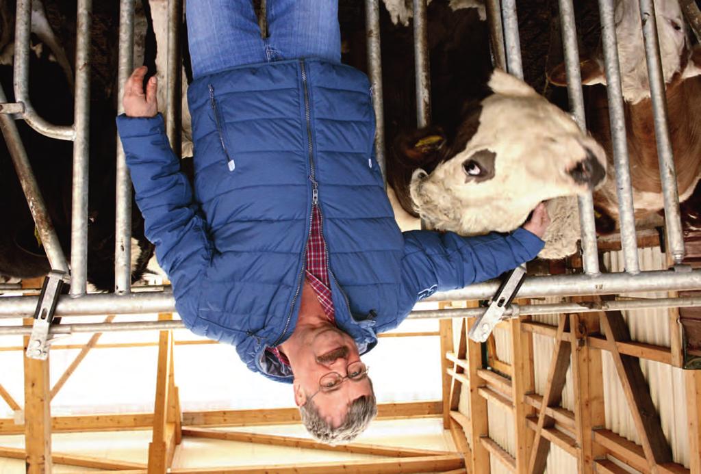 Zeitsparende Melkroboter lehnt Heinz Thur in seinem Stall ab: Ich will meine Kühe anfassen können.