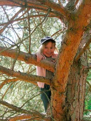 Waldschularbeit als Gegenpol zur Naturentfremdung Die Idee zur erlebnisgeprägten Umweltbildung in der Natur für Kinder im Alter von fünf bis zwölf Jahren gibt es seit vielen Jahr zehnten.