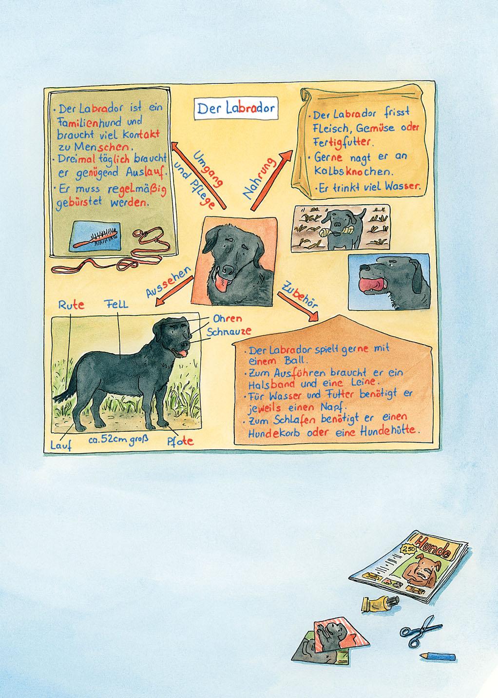 Hanna und Malte stellen ihr Lieblingstier vor Hanna und Malte haben dieses Plakat über den Labrador gestaltet. Gestaltet ein Plakat über euer Lieblingstier. So könnt ihr vorgehen: 1.