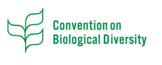 Internationale Biodiversitätspolitik CBD: Convention on Biological Diversity 3 Ziele: Erhaltung der biologischen Diversität Nachhaltigkeit ihrer Nutzung Gerechte Verteilung der benefits, die sich aus