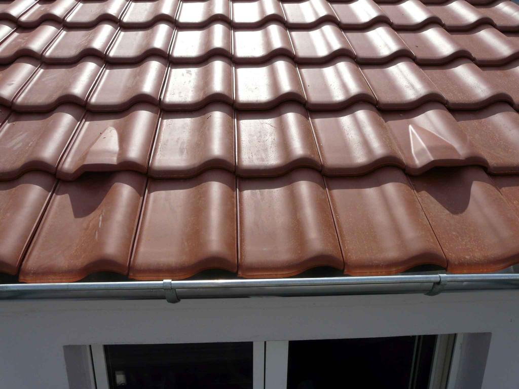 Schaffung von Nistplätzen für Mauersegler durch Einbau spezieller Dachziegel manche Hersteller von Dachpfannen bieten