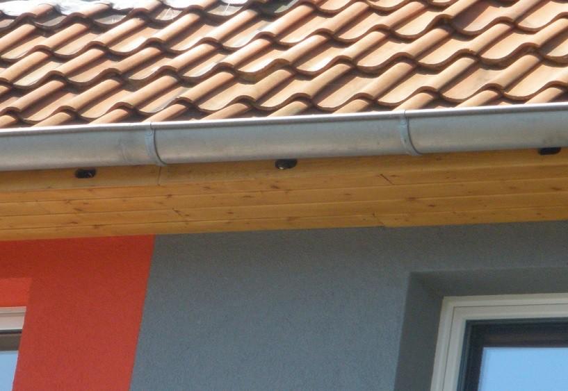 Dachkonstruktion: Einsägen von Einfluglöchern in