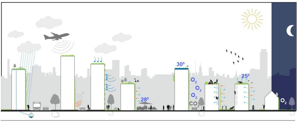 Vorteile von begrünten Städten Vorteile begrünter Städte: Erhöhte Kühlung durch (gespeicherte) Regenverdunstung Bessere thermische Isolation Reduzierte Lärmbelastung Höhere