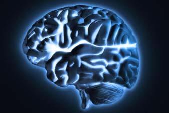 Nervenbahnen im Gehirn b) Störung bzw.