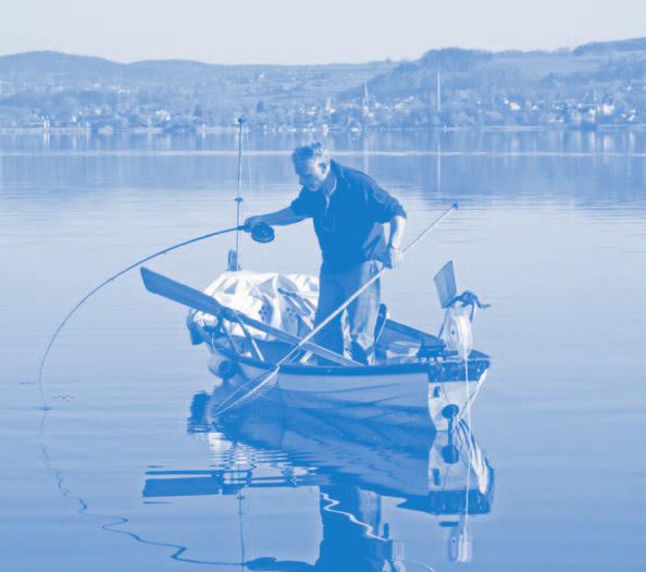 Die Fischerei im Kanton Zürich SCHWEIZER