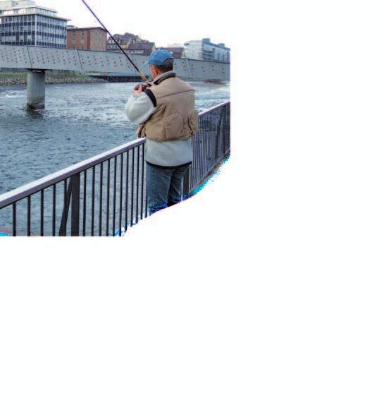 Streetfishing in Zürich. rufsfischereirechte werden als Pachten für jeweils acht Jahre vergeben. Im zürcherischen Teil des Zürichsees sind 12, am Greifensee ist ein Berufsfischer zugelassen.
