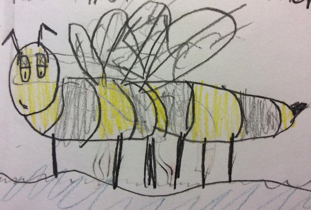 Die Biene Die Biene ist ein Insekt. Sie ist schwarz und gelb und hat weiße Flügel. Die Biene lebt im Bienenstock im Garten.