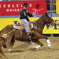 Sieger verwenden AcuLife Trevor Brazile Trevor Brazile ist der einzige Cowboy, der sich im gleichen Jahr in vier Disziplinen beim National Finals Rodeo (NFR) qualifiziert hat.