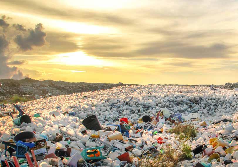 Thema Recycling die wertvollste Schatzsuche der Welt Ökologisch, effizient und ökonomisch.
