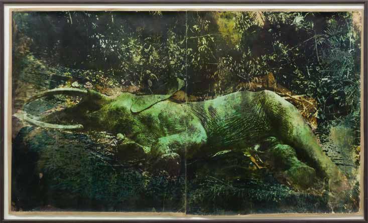 Johannes Brus Das Unsichtbare im Sichtbaren Toter Elefant, liegend,