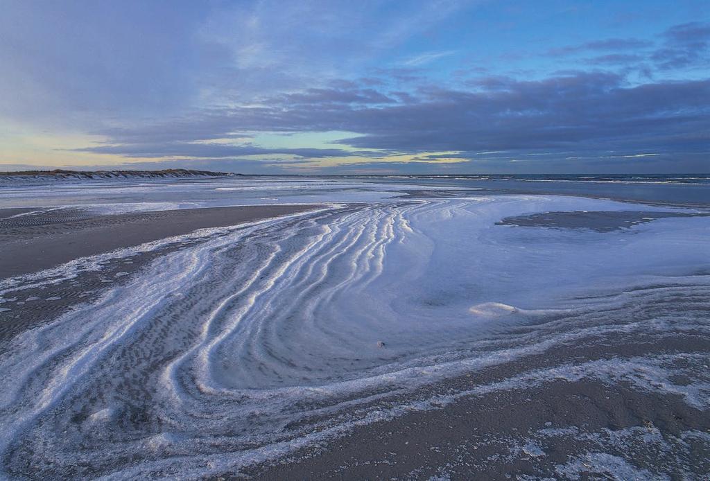 88 Die südlichen Küstenbereiche der Ostsee sind vergleichsweise flach und für viele nördliche Entenarten ein wichtiges Überwinterungsgebiet.