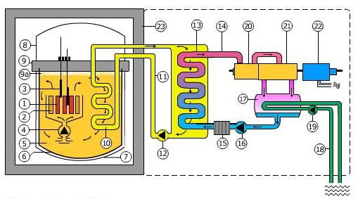 Schneller Brutreaktor Kernphysik Aufbau eines Kernreaktors Siedewasserreaktor Druckwasserreaktor Schwerwasserreaktor