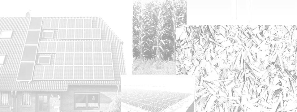 (Landwirtschaft) 80,0 205,0 164,0 Biomasse (Forstwirtschaft) 193,5 215,6 Solarthermie