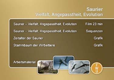 Zum Inhalt Saurier Vielfalt, Angepasstheit, Evolution Film (23 min) Die Saurier waren die Herrscher des Erdmittelalters. Reptilien prägten für über 200 Millionen Jahre das Leben auf der Erde.