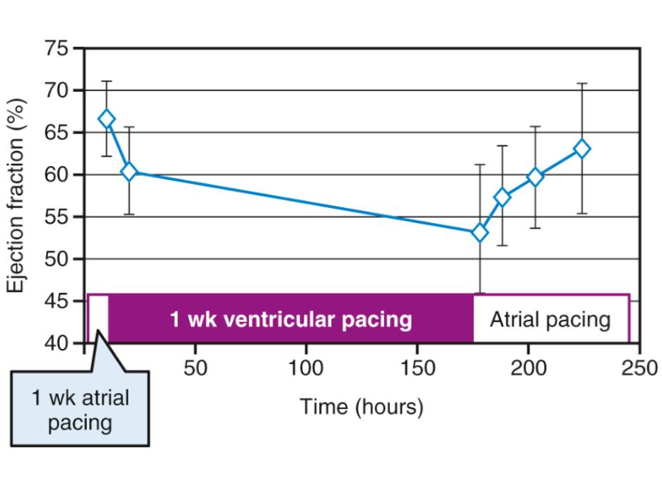 Kleine Pathophysiologie bei jedem vordefinierten LA Druck ist der CO unter ventrikulärem pacing schlechter als unter atrialem pacing Mitchel et al AJC 1962 Out of