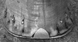 Hier ist das histologische Bild regelmäßig und die Hornröhrchen der einzelnen Kronhornzonen weisen einen regelmäßigen Durchmesser auf. Textabb.