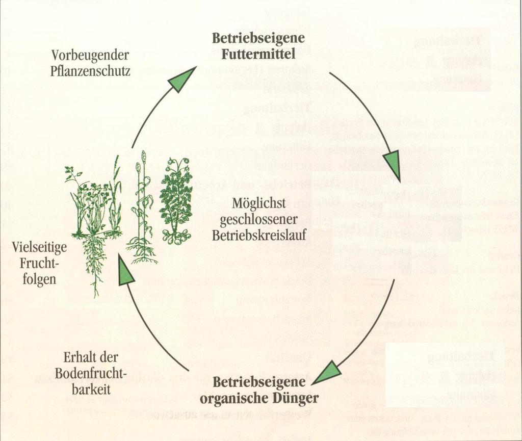 Biogas X Insbes.