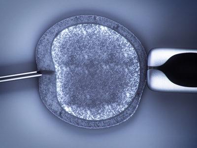In-Vitro-Fertilisation an sich stellt kein moralisches Problem dar Wörtlich: Befruchtung im Glas Nach dem Vorhergesagten gilt: Es gibt keinen moralischen Grund, potenziellen Eltern das