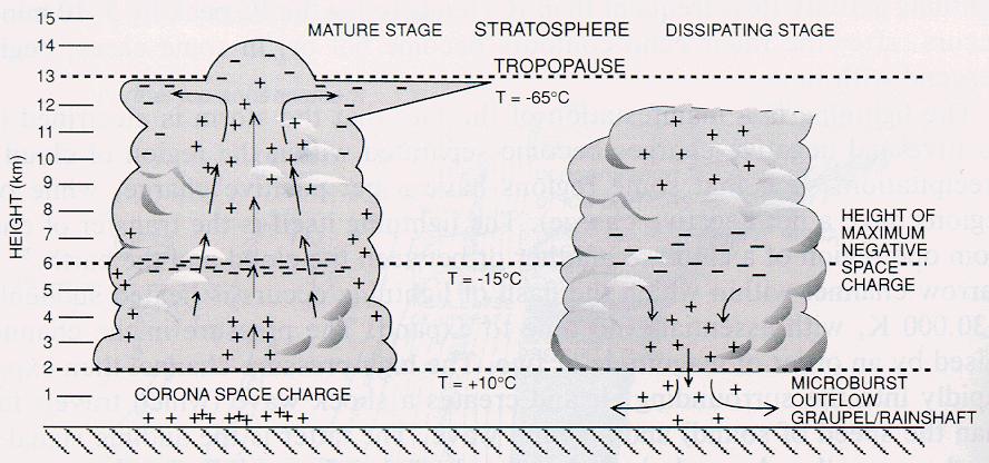 Einzelzellen-Gewitter Überschreiten der Niederschlagsgrenze ist wichtig für die spätere Blitzentwicklung (Elektrifizierung bei Kollisionen der Eispartikel.