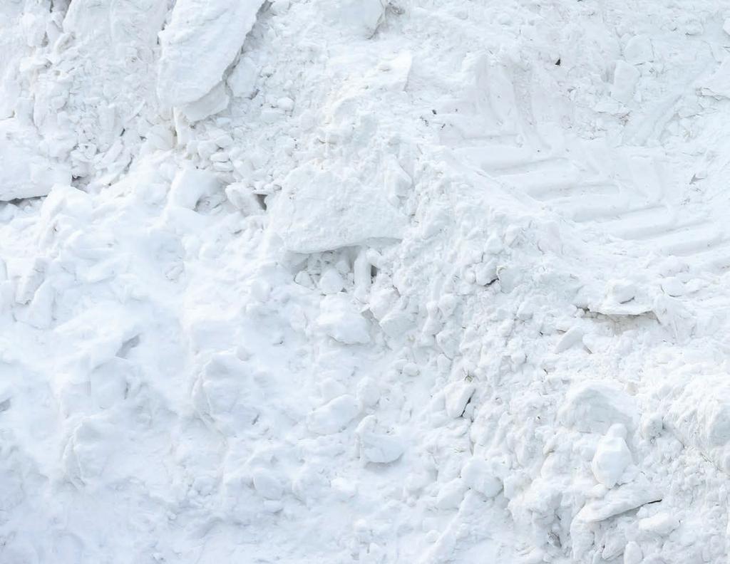 MEHRZWECKREIFEN SNOW TRAC SCHNEE UND EIS SCHWERER EINSATZ LEBENSDAUER STABILITÄT SNOW TRAC ist besonders für Straßenanwendungen in winterlichen Verhältnissen mit Skid-Steer-Ladern geeignet.