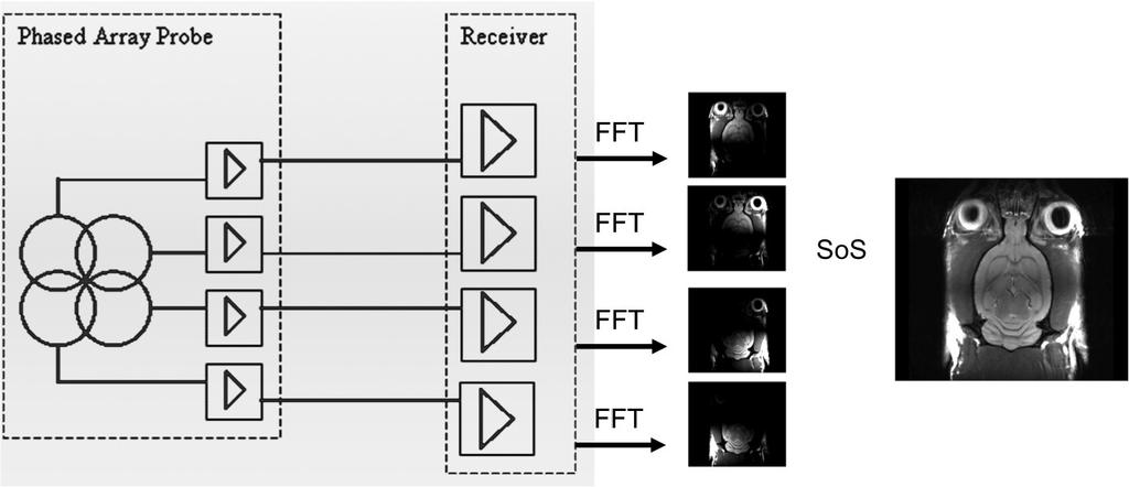 6. Experimenteller Aufbau am MPI Abbildung 6.3.: Einzelbilder einer 4SC und Gesamtbild nach GRAPPA- Rekonstruktionsalgorithmus einer Ratte (mittig) und eines Phantoms (rechts).