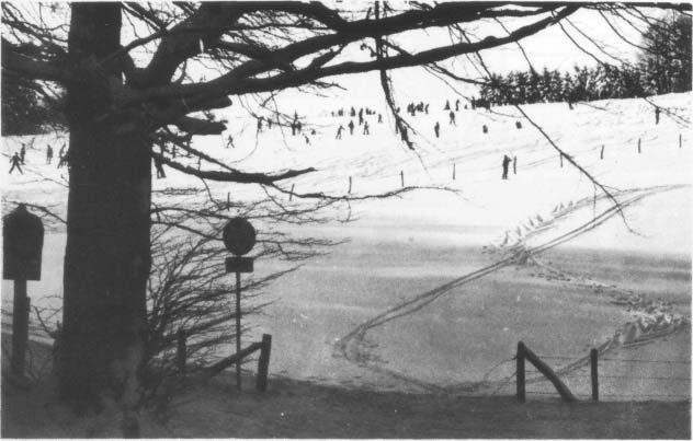 Das herausragende Ergebnis der Wintersaison 1978/79 waren sicherlich die Remscheider Stadtmeisterschaften im Skilauf am 20. und 21. Januar 1979, Austragungsort Hohenhagen.