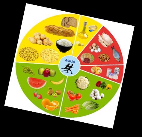Die sechs Nahrungsmittelgruppen entsprechend ihrer Eigenschaften: Stärkehaltige Nahrung, Obst, Gemüse, Milchprodukte, Fette und Eiweiß. Was die Funktionen von Lebensmitteln sind.