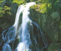 der Erlebnisregion Tennengau zählen der Gollinger Wasserfall, die Burg