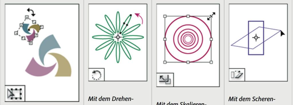 TRANSFORMIEREN-WERKZEUG-GALERIE Mit dem Frei-Transformieren-Werkzeug können Sie Objekte drehen, skalieren und scheren.