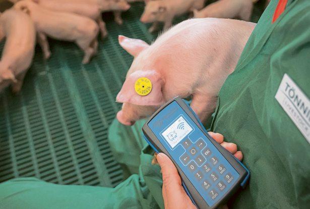 AGRAR UNTERNEHMERTAGE Die Frage, wie Nutztiere gehalten werden, hat an Relevanz gewonnen. Gesundheitsdaten und Herkunft lassen sich heute digital aufzeichnen.