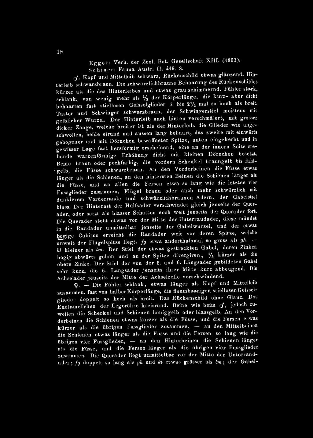 lcs Egger: Verh. der Zool. Bot. Gesellschaft XIII. (1863). Schiner: Fauna Austr. IL 419. 8. <$. Kopf und Mittelleib schwarz, Rückenschild etwas glänzend. Hinterleib schwarzbraun.
