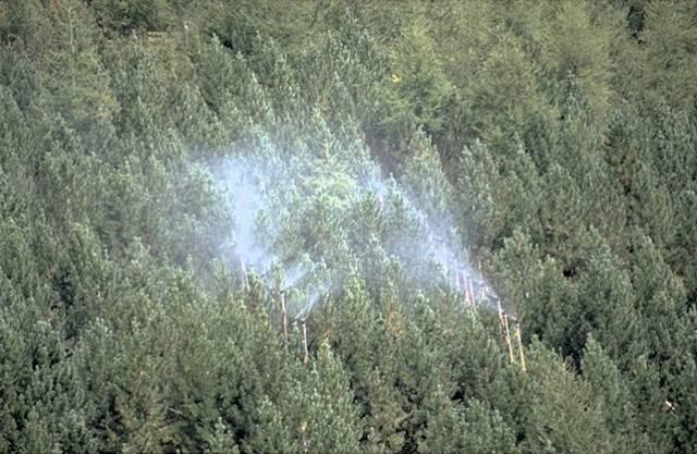 Wasserumsatz von Wäldern