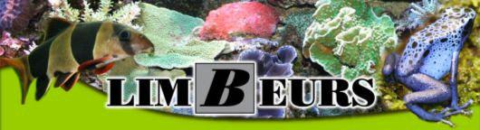 Kurzinformationen Jubiläum: 20 Jahre LIMBEURS, Belgien Die aquaristisch/terraistische Tauschbörse LIMBEURS ist bei den Aquarianern, Terrarianern und auch den Teichbesitzern in Belgien und den