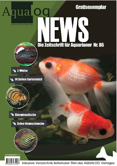 Medienspiegel Vorschau auf die aktuelle AqualogNews- Ausgabe Vorschau auf die aktuelle aqua-terra austria-ausgabe Monatszeitschrift des Österreichischen Verbandes für Vivaristik und Ökologie Mai 2009