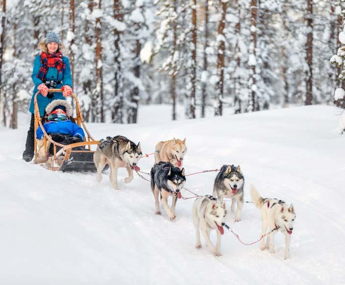 Titelthema 1) Schlittenhunde Schlittenhunde werden mit einem Geschirr vor den Hundeschlitten gespannt. Sie lieben Eis und Schnee und können weite Strecken laufen.