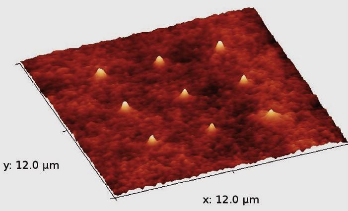 Institutsteil Potsdam-Golm Nanobiotechnologie & Nanomedizin Abbildung: Rasterkraftmikroskopische Aufnahme eines Nanoarrays