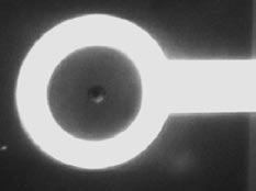 Mikroskopische Aufnahme einer Ringelektrode mit konzentrischem Mikroloch, auf dem sich eine hydrodynamisch positionierte Einzelzelle befindet (C).