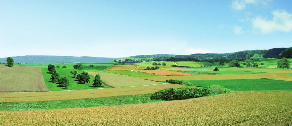 Vielfalt der Landschaften «Biodiversität ist ein wichtiger Teil der Schönheit unseres Landes.» Die Vielfalt an Landschaften und Lebensräumen ist einer der wichtigen Trümpfe unseres Tourismus.