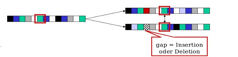 Dabei muss ständig der Grad an Ähnlichkeit zwischen den Einträgen der beiden Sequenzen in einer alignierten, d.h. sich entsprechenden Position beurteilt werden.