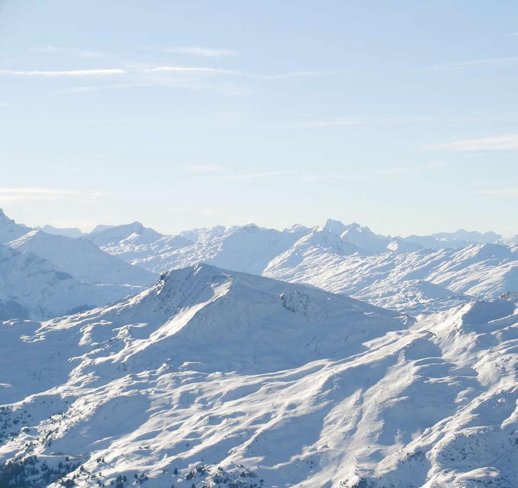 Ski-Alpin +Skischuhe - Die beste Antwort auf den Schnee Salomon Divine